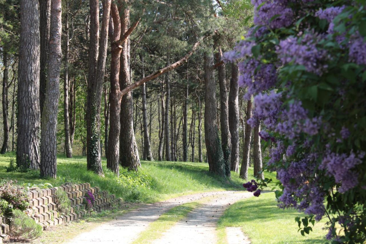 La Poignardiere Chatillon-sur-Indre Ngoại thất bức ảnh